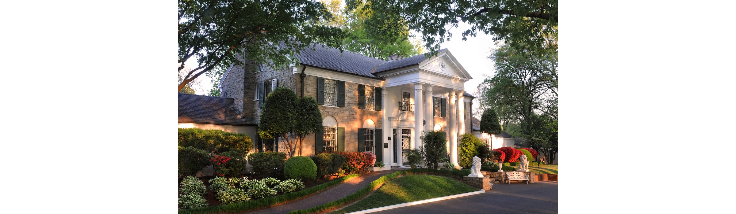 GRACELAND TOUJOURS AU TOP !